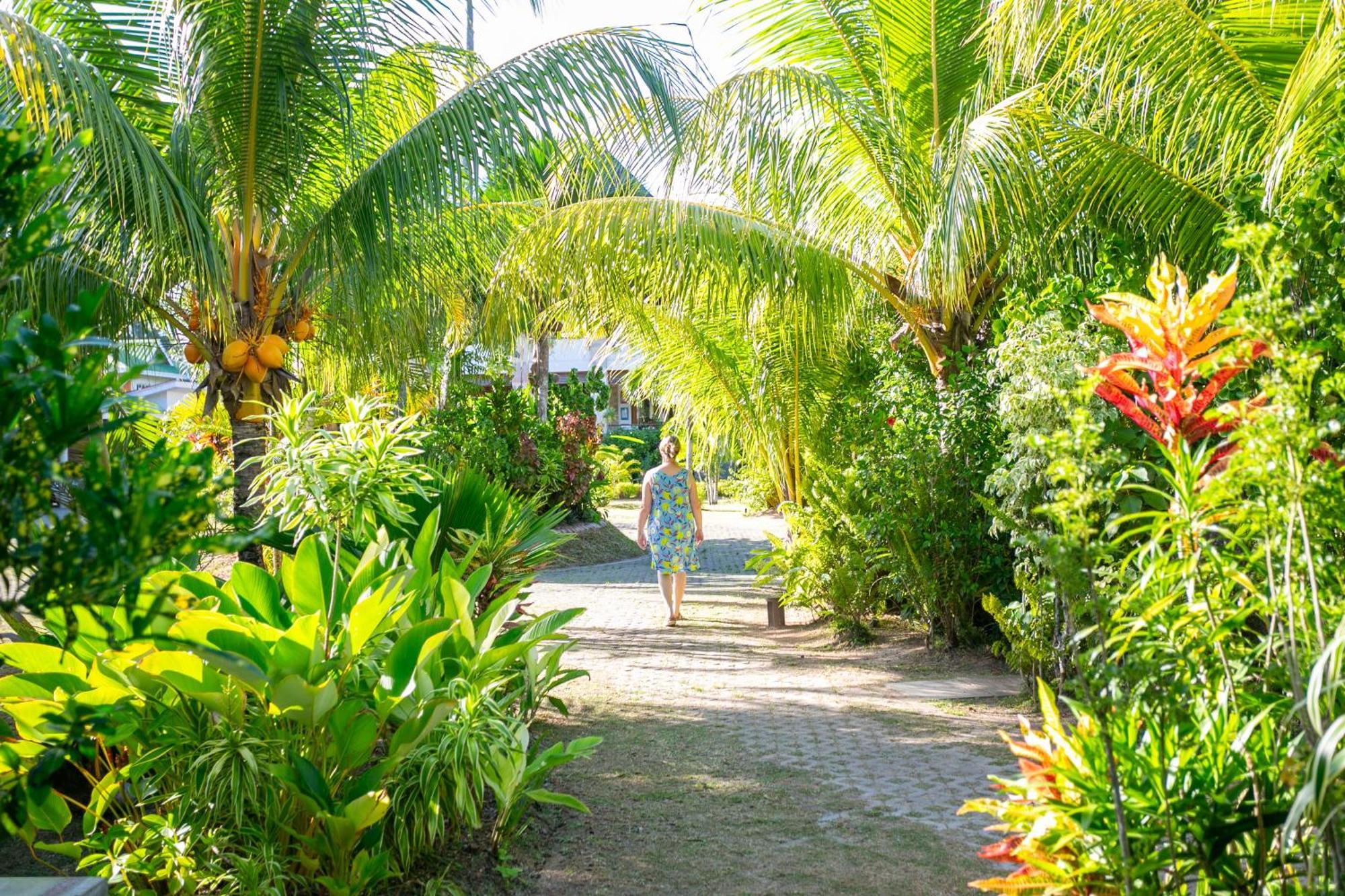 Hotel Les Lauriers Eco 3*